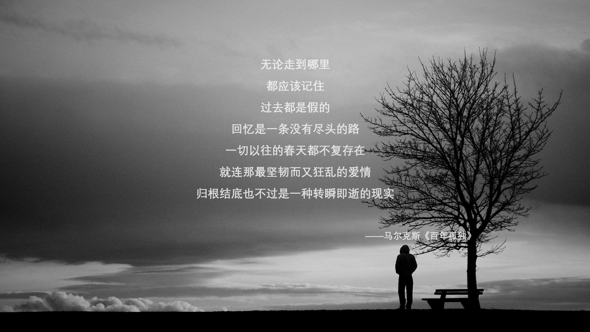 开云体育APP下载-鲁迪·加西亚被任命为比利时国家队新任主教练。，比利时国家队教练 亨利