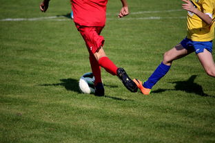 KAIYUN 中国大陆-世界围棋赛多国选手展现东亚围棋影响力,东南亚围棋