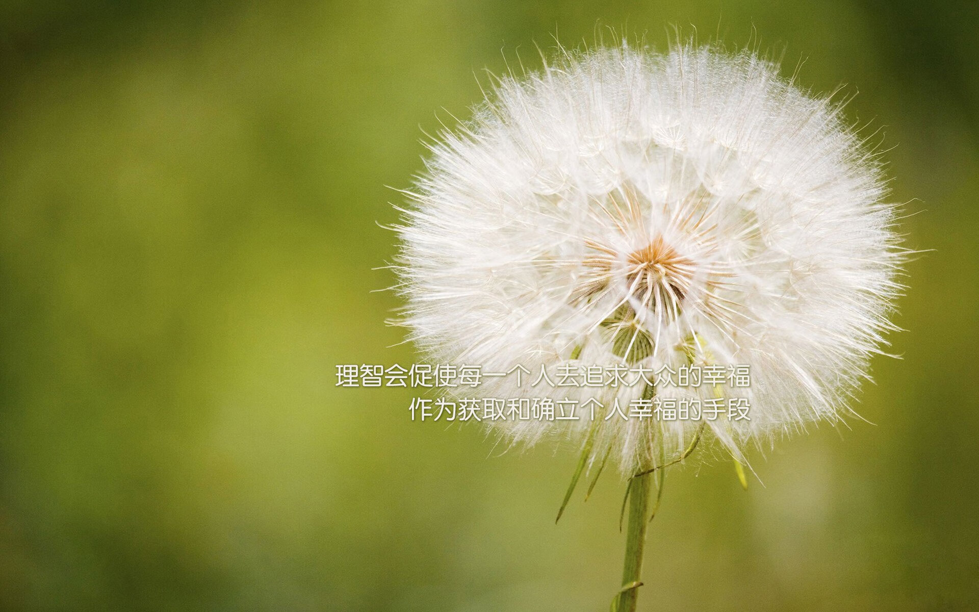 KAIYUNAPP-大学生篮球联赛关注度激增有望输送更多人才，大学生篮球职业联赛