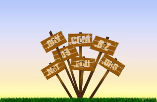 开云全站-足球产业扶持政策分布区域不均衡,足球产业占体育产业比重