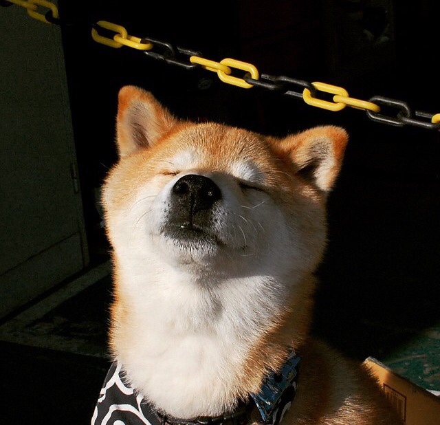 kaiyun体育app-凯特·道格拉斯坚持训练终见成效,j道格拉斯凯尼恩简介